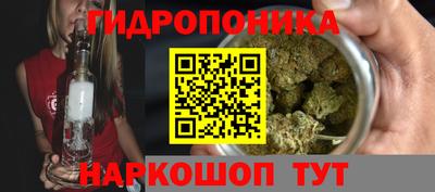 ПСИЛОЦИБИНОВЫЕ ГРИБЫ Беслан